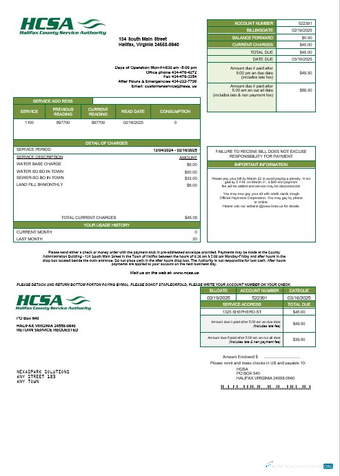 Download USA Virginia HCSA business utility bill template in Word and PDF formats Photoshop template